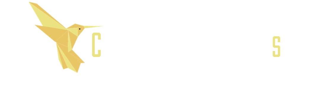 cybersolus o firmie